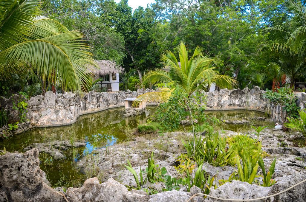 Villa Tortugas Akumal Eksteriør billede